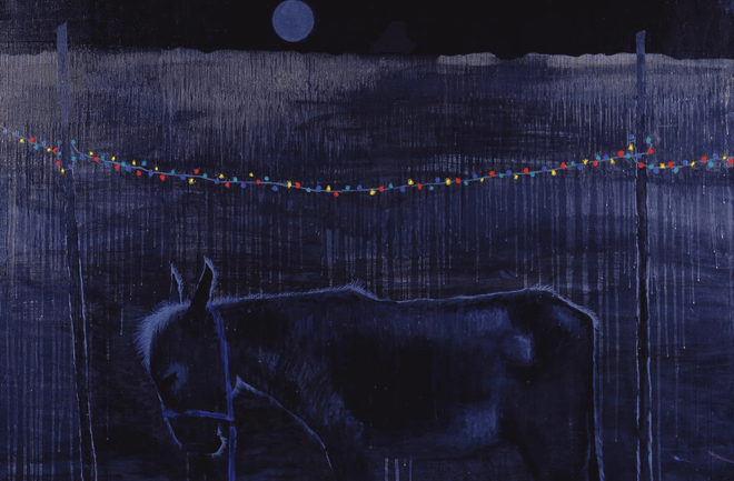 Узбекистан, полночь, спящий осел